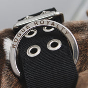 SUPATUFF® Strong Dog Collar Black (Wide Fit)