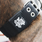 SUPATUFF® Strong Dog Collar Black (Wide Fit)