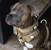 SUPATUFF® Strong Dog Collar Desert Wolf (Wide Fit)