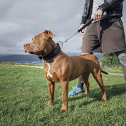 SUPATUFF® Strong Dog Collar Black (Wide Fit)