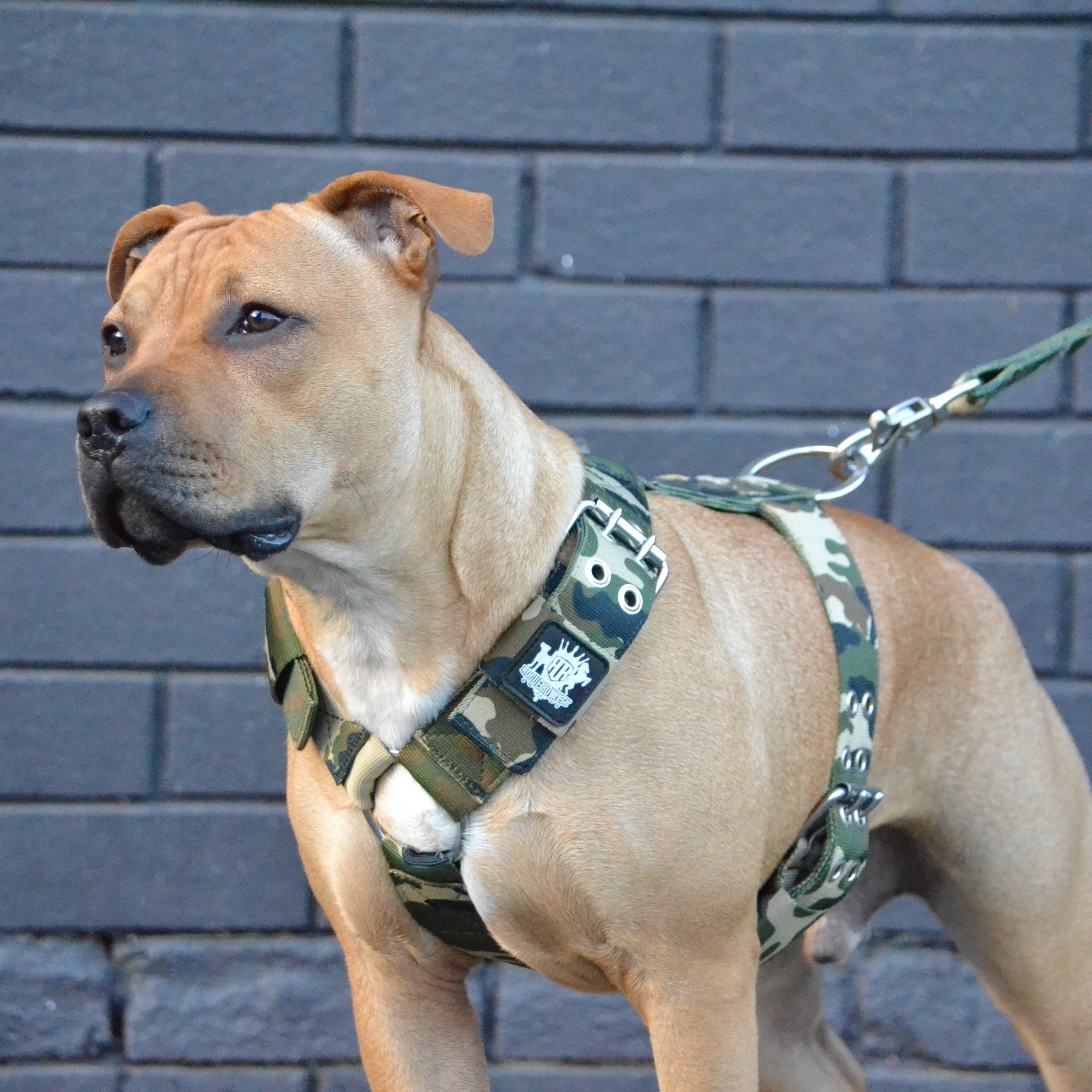 SUPATUFFยฎ Strong Dog Harness Camo (Regular Fit)
