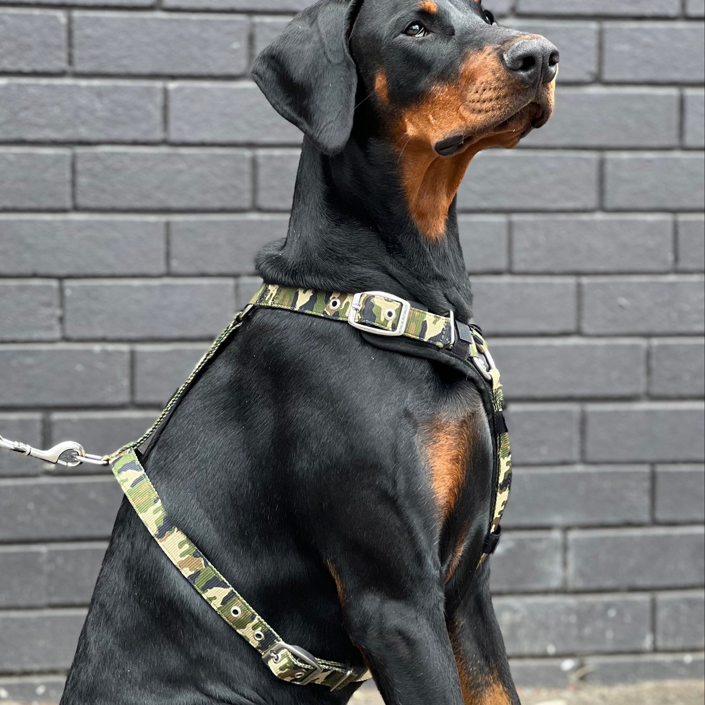 SUPATUFF® Dog Harness Camo (Slim Fit)