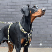 SUPATUFF® Dog Harness Camo (Slim Fit)