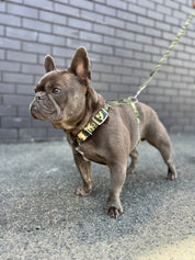 SUPATUFF® Dog Harness Camo (Slim Fit)