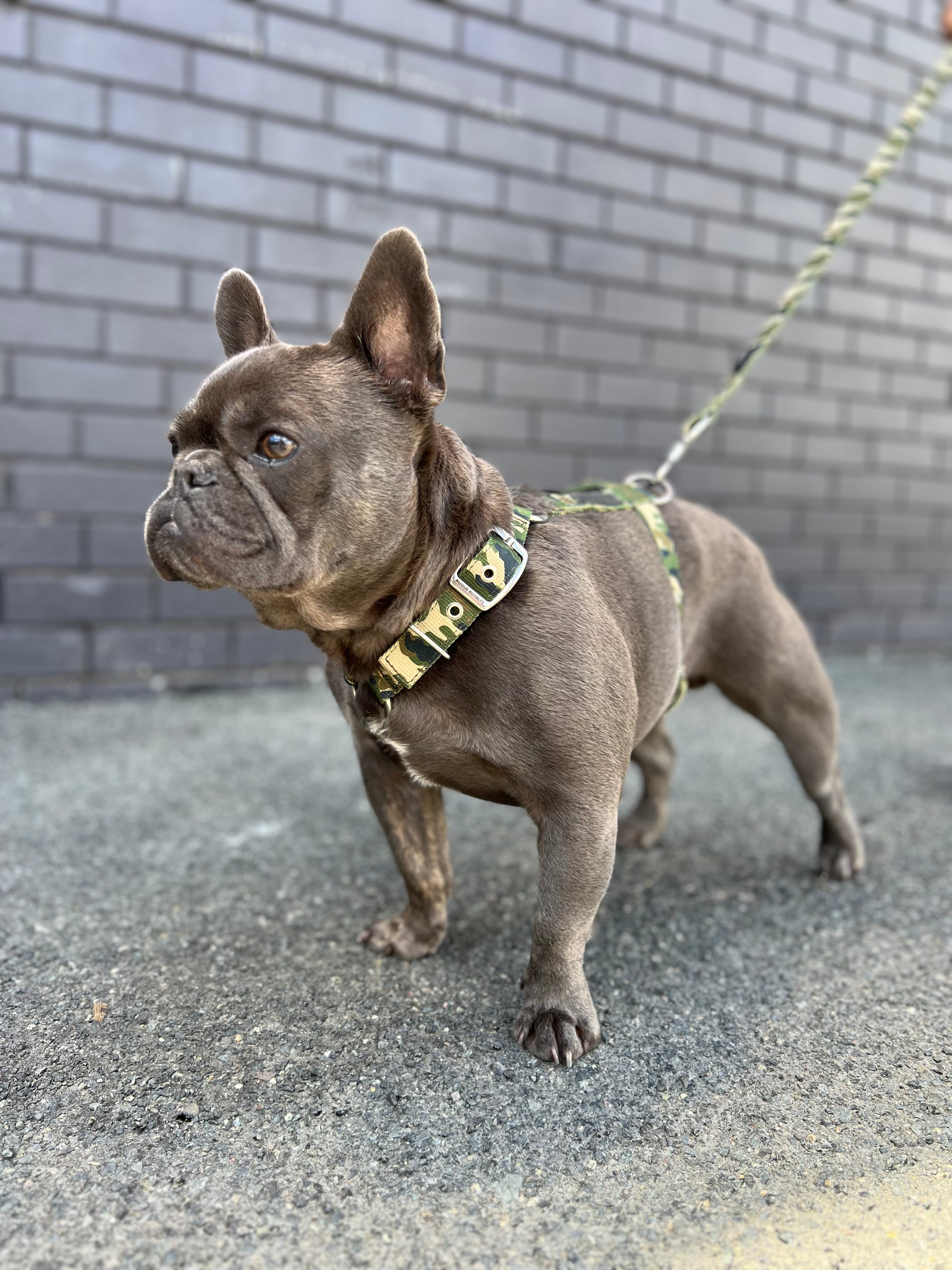 SUPATUFF® Dog Harness Camo (Slim Fit)