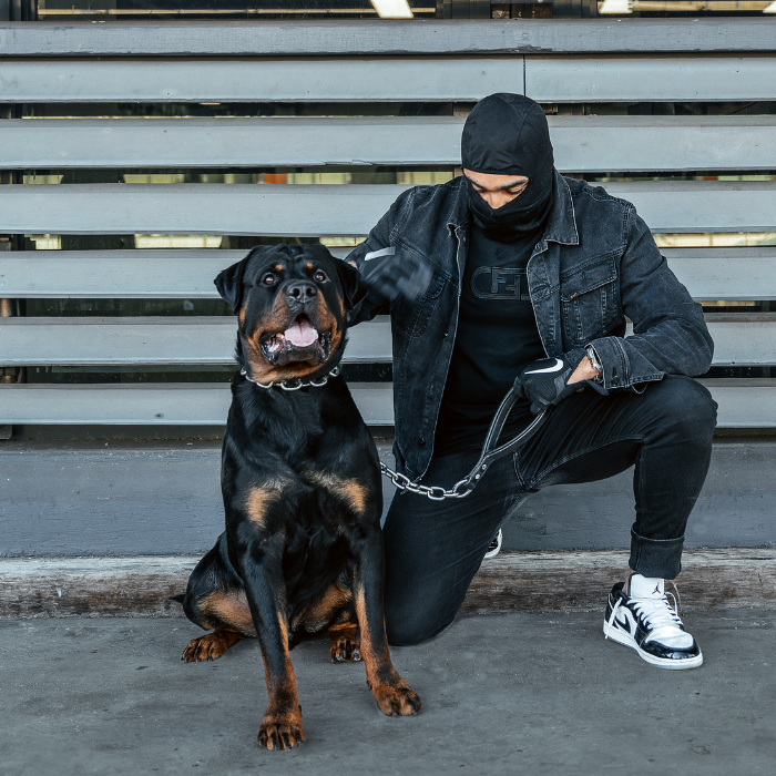 Titan Chain Leash 60cm
