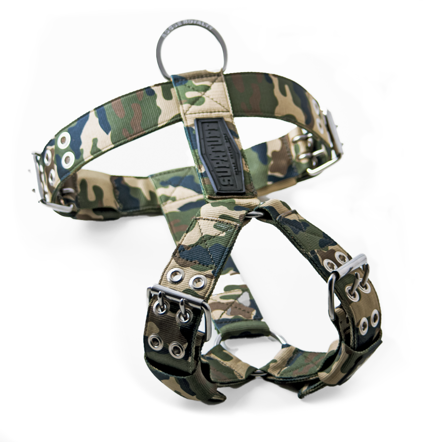 Heavy Duty Camo Dog Harness Built to Last – Rogue Royalty