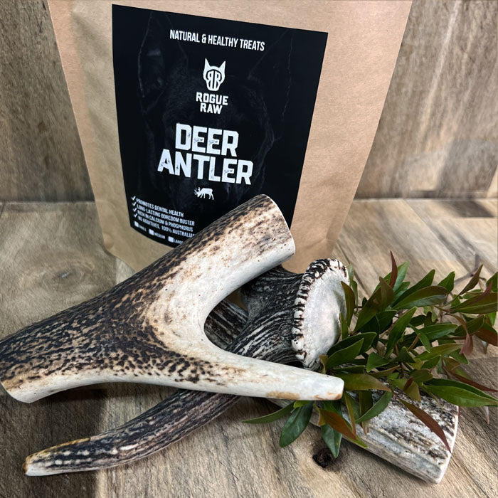 Australian made natural deer antler chews