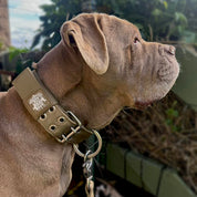 SUPATUFF® Strong Dog Collar Desert Wolf (Wide Fit)