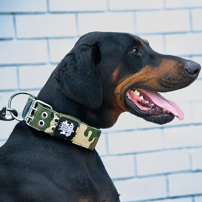 dobe-camo.png