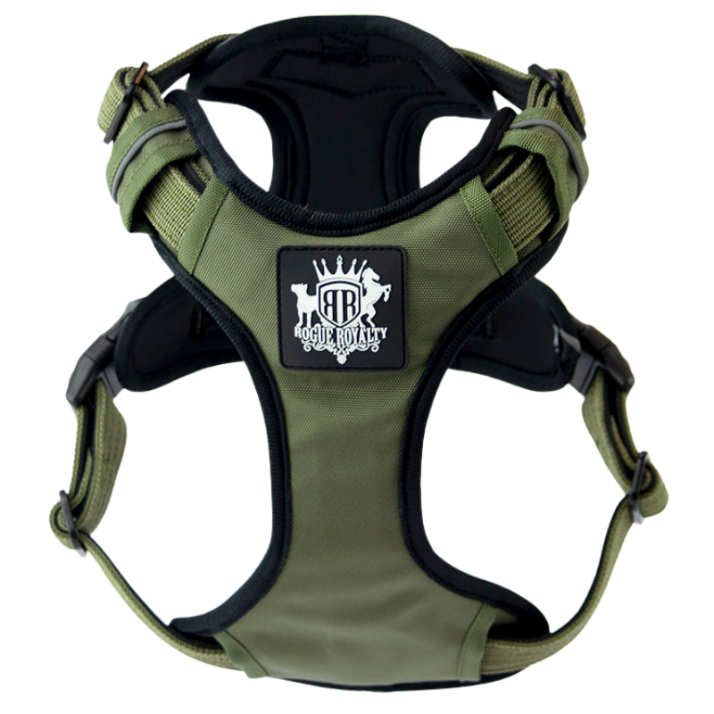 green-active-dog-harness_dcd3ac09-66d5-42b4-a4fe-8311efc2c468.png