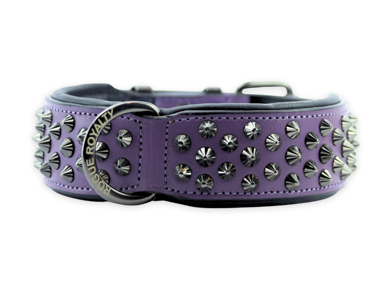 Front view of handmade purple leather dog collar with black spikes and fittings.
