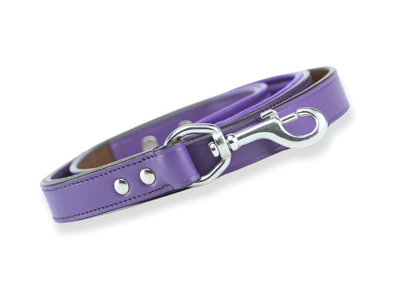 Leather Dog Leash - Classic Purple