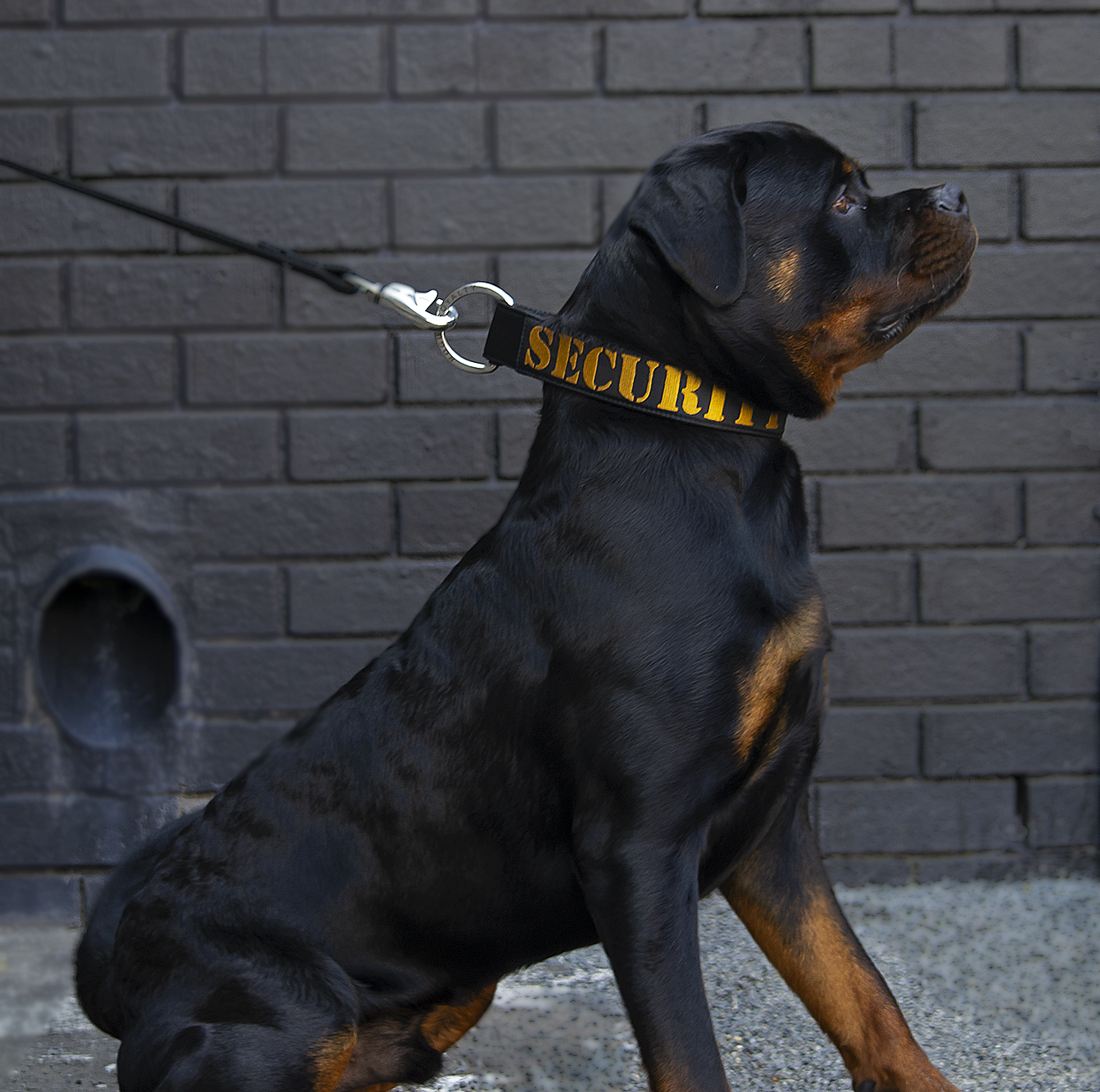 SUPATUFF® Strong Dog Collar SECURITY (Wide Fit)
