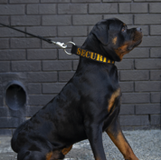 SUPATUFF® Strong Dog Collar SECURITY (Wide Fit)