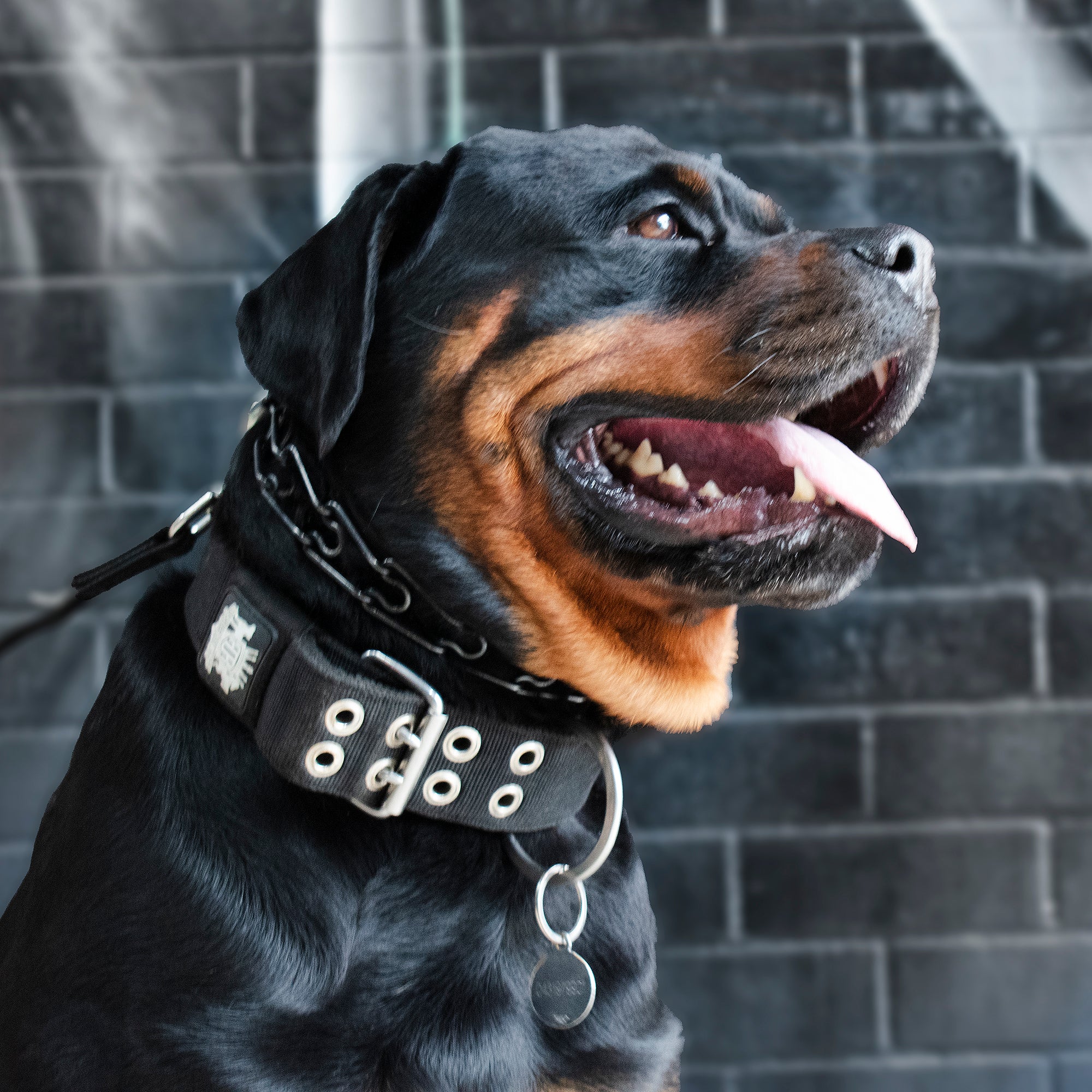 SUPATUFF® Strong Dog Collar Black (Wide Fit)
