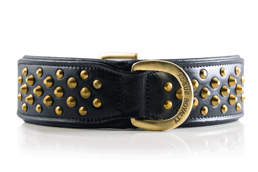 handmade Black Leather dog collar with Brass studs