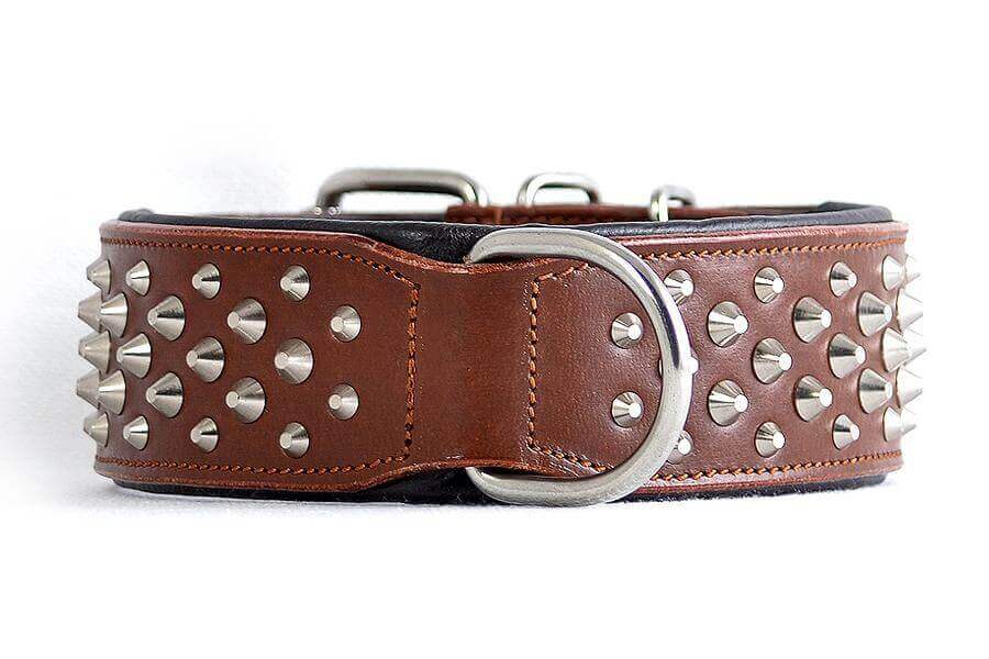 Front view of handmade Brown Leather dog collar with chrome studs