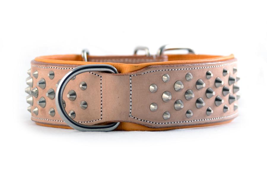 Australia&#39;s finest Handmade Leather Dog Collar – Front view of buckskin studded leather dog collar with stainless steel fittings by Rogue Royalty