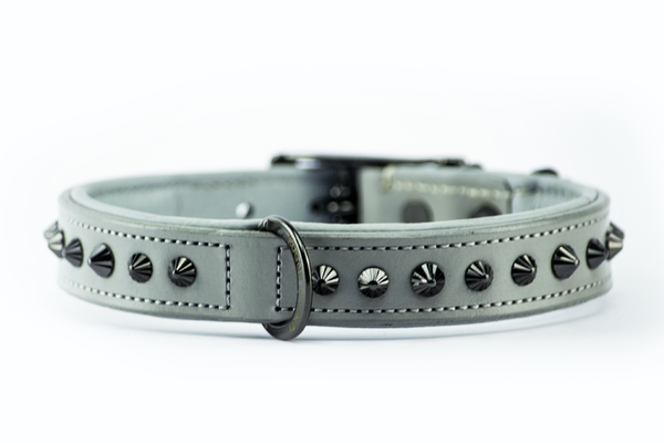 Grey puppy clearance collar