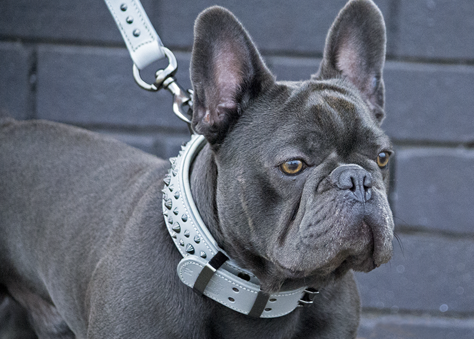 Hand Made Leather Dog Collar - Ruthless Grey &amp; Black (Wide Fit)