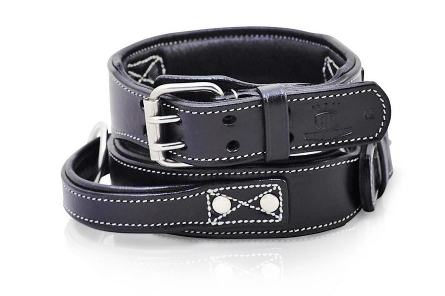 Leather Handle Dog Collar by Rogue Royalty - Main Image
