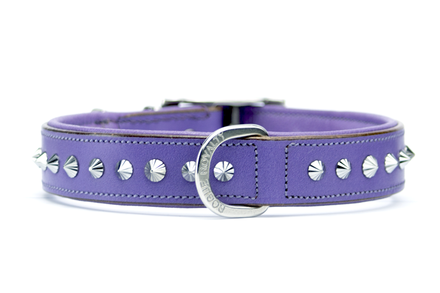 Buy Imperial Purple Slimfit Dog Collar Online