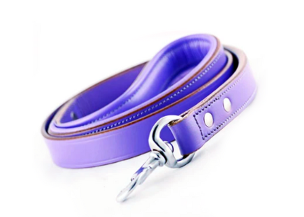 Purple 2024 dog leash