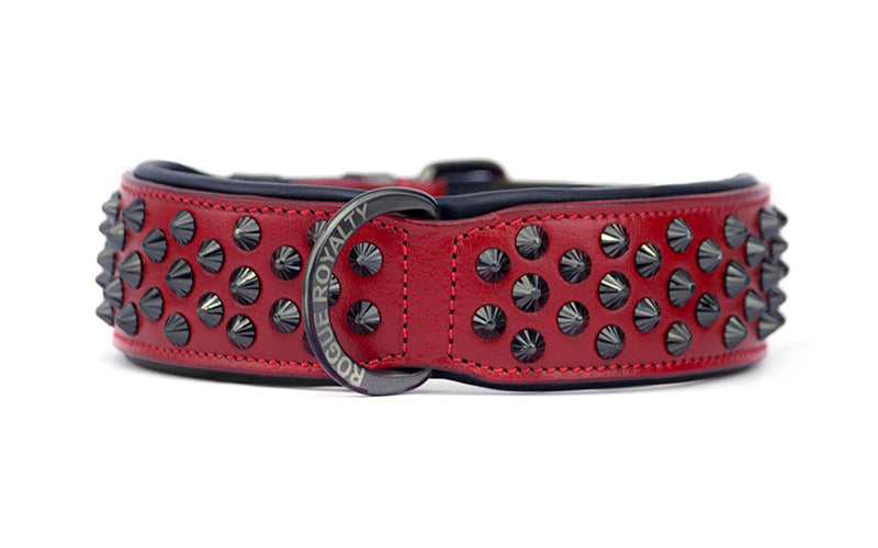 Australia's finest Handmade Leather Dog Collar – Front view of red leather dog collar with black trim and  fittings by Rogue Royalty