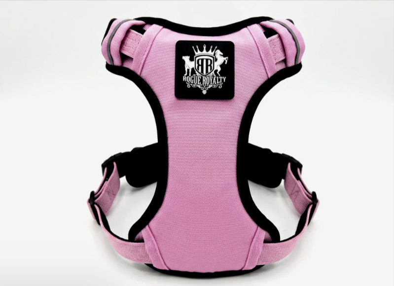 Why a Four-Point Adjustable Harness Fits Bull Breeds Better