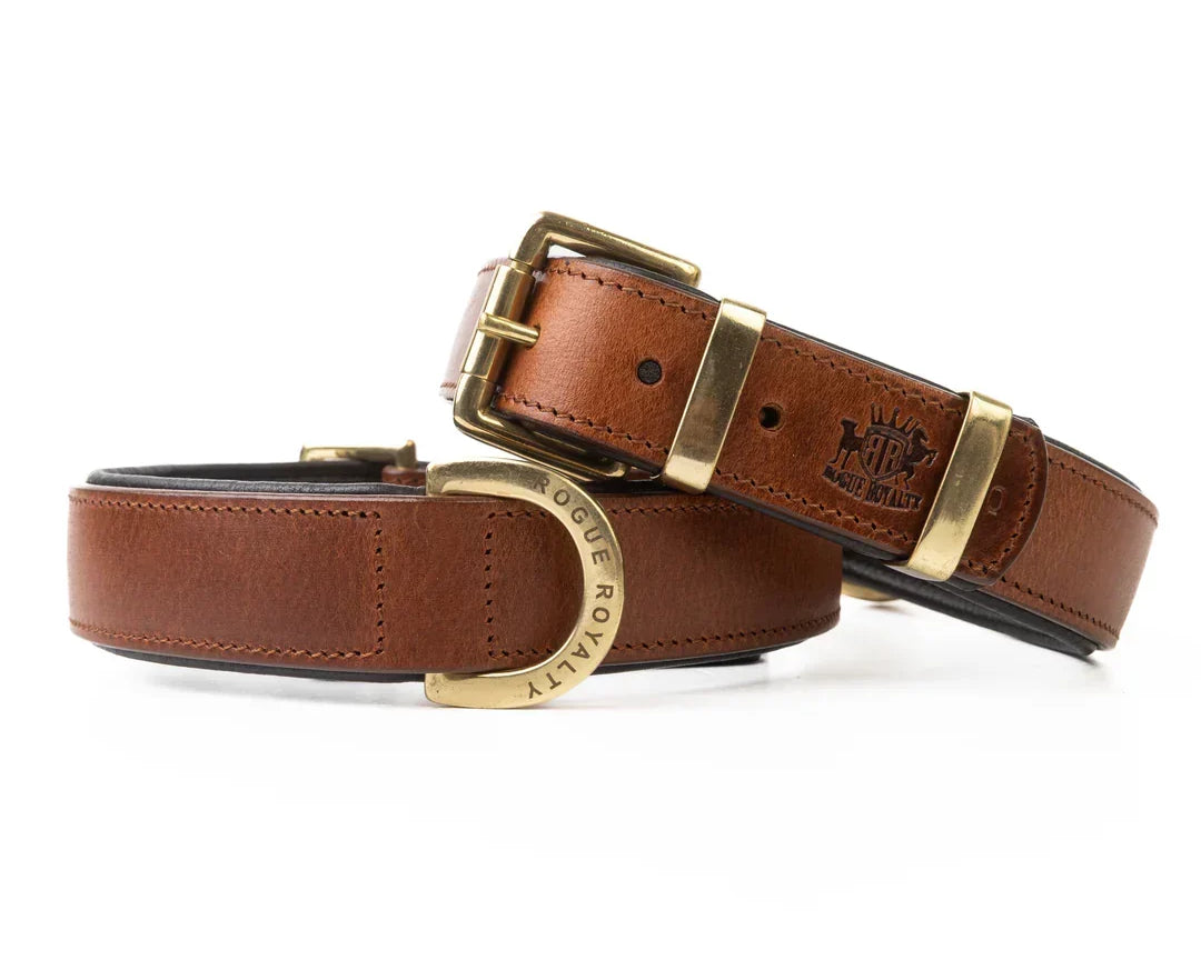 Leather Dog Collars Australia: Why Quality Builds Last and Cheap Ones Don't