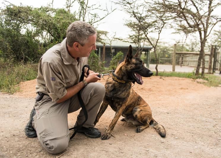 Rogue Royalty Frontline against Poaching