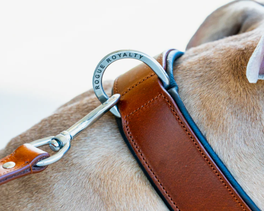 Leather Dog Collar vs Nylon: Which One Actually Lasts?