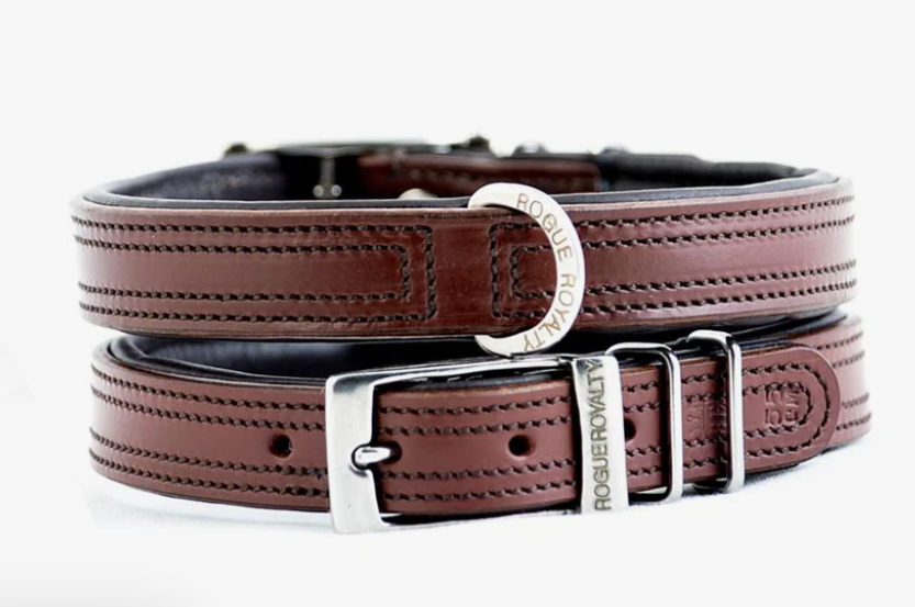 Puppy Collars Australia: When to Start, How to Size, and What to Buy