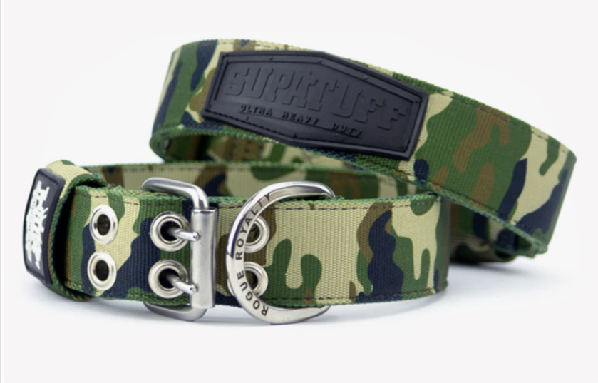 Best Collar for Siberian Huskies in Australia: The Complete Guide