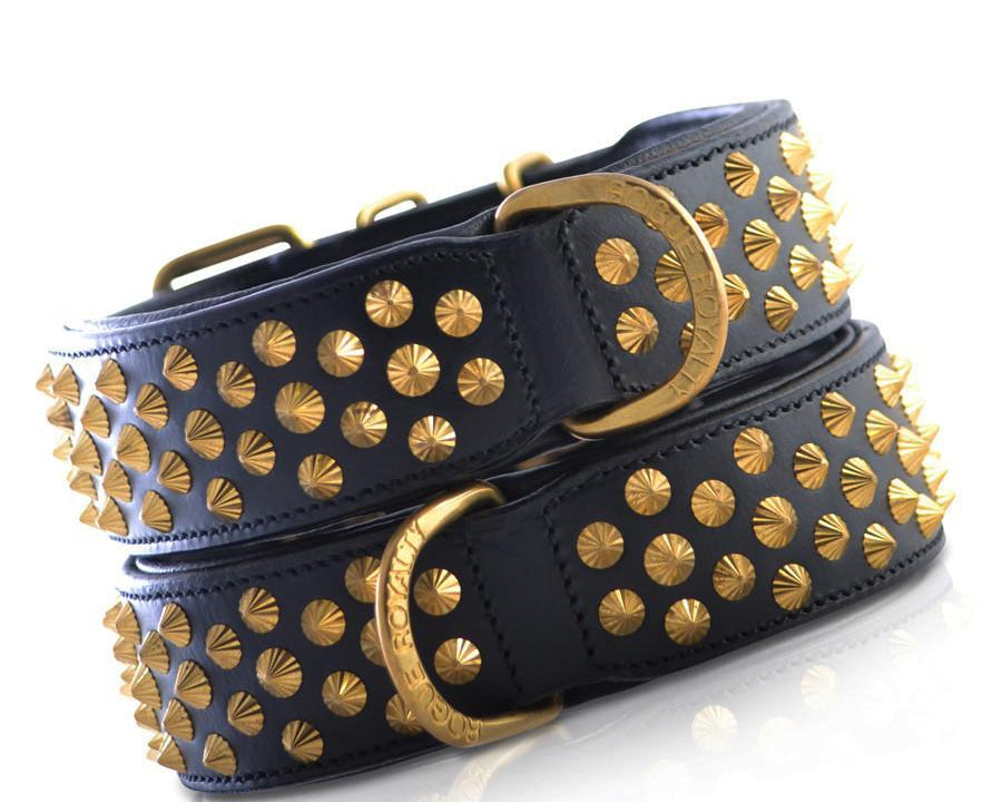 Leather Pet Accessories for Dogs: The Complete Australian Guide