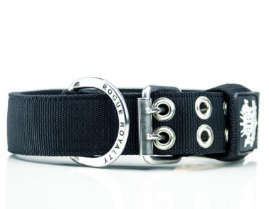 Best Collar for Golden Retrievers in Australia: A Complete Guide