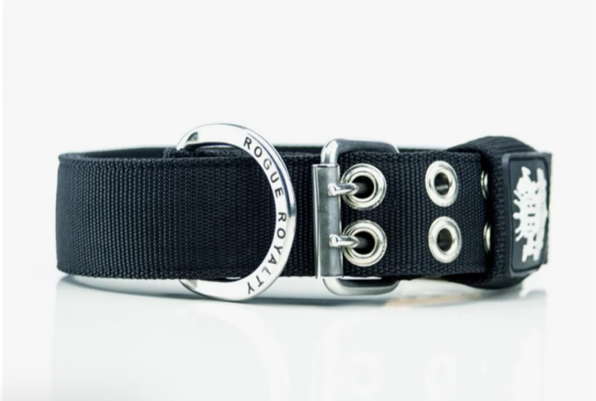 How Much Do Dog Collars Cost in Australia? Pricing by Material and Size