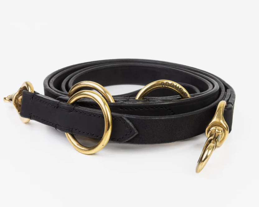 Which Dog Leash for Which Situation: The Complete Guide