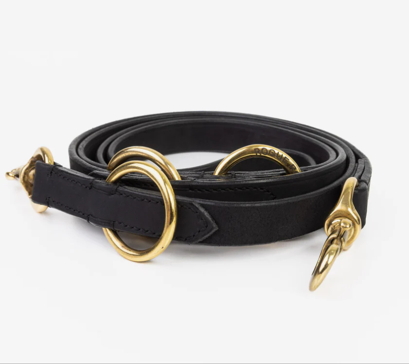 Which Dog Leash for Which Situation: The Complete Guide