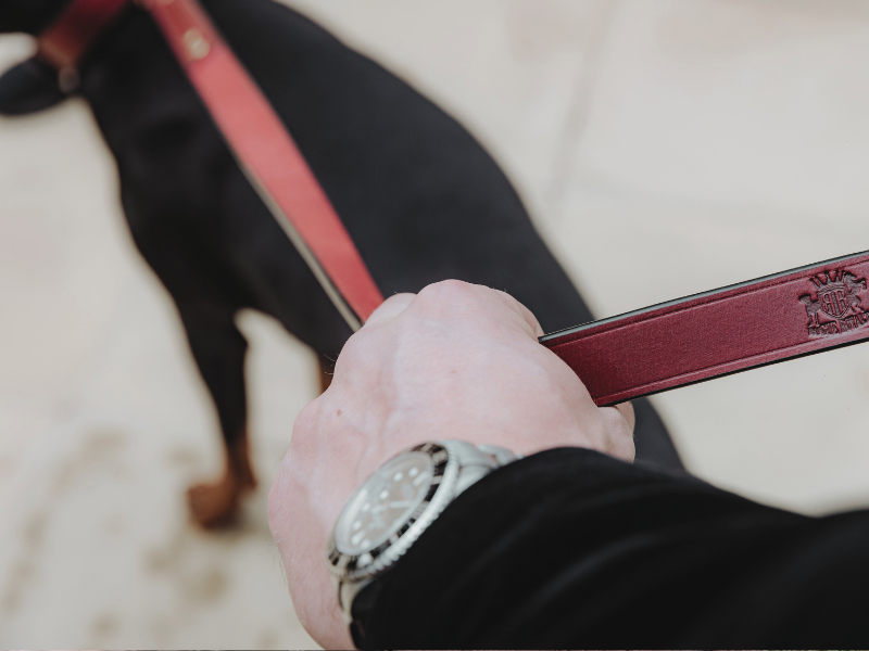 Leather Leashes for Dogs: A Complete Guide to Types, Sizes, and Uses
