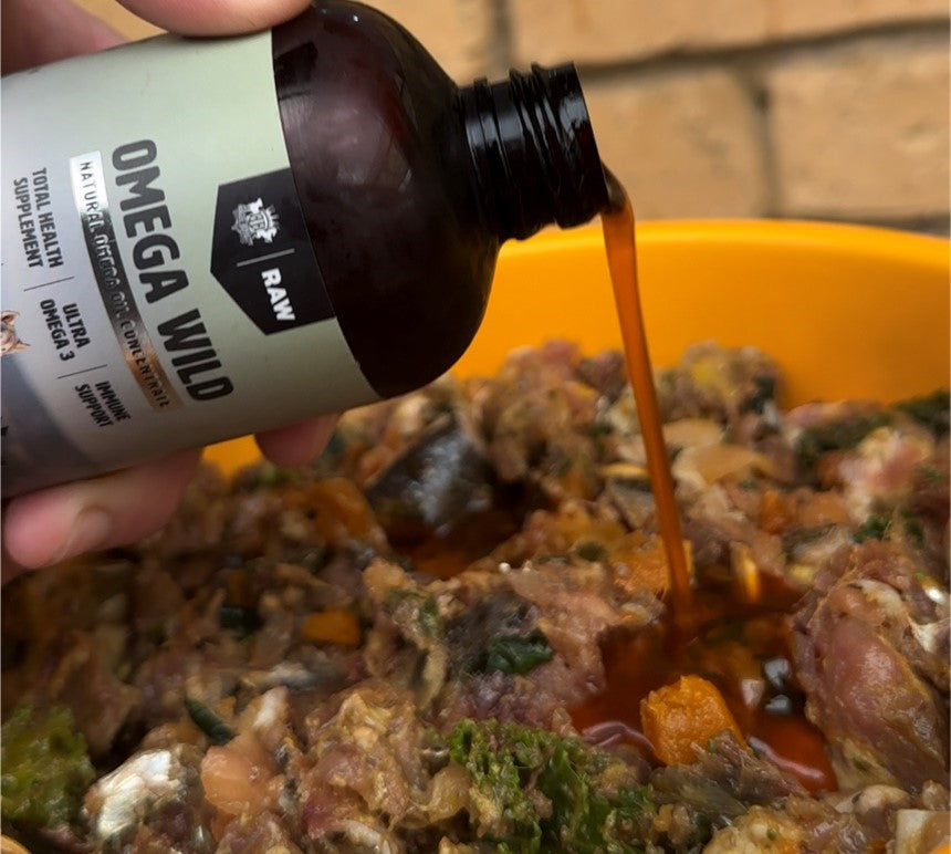The Power of Mutton Bird Oil: A Natural Solution for Canine Health Issues