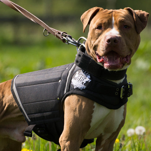 Weighted Dog Vests