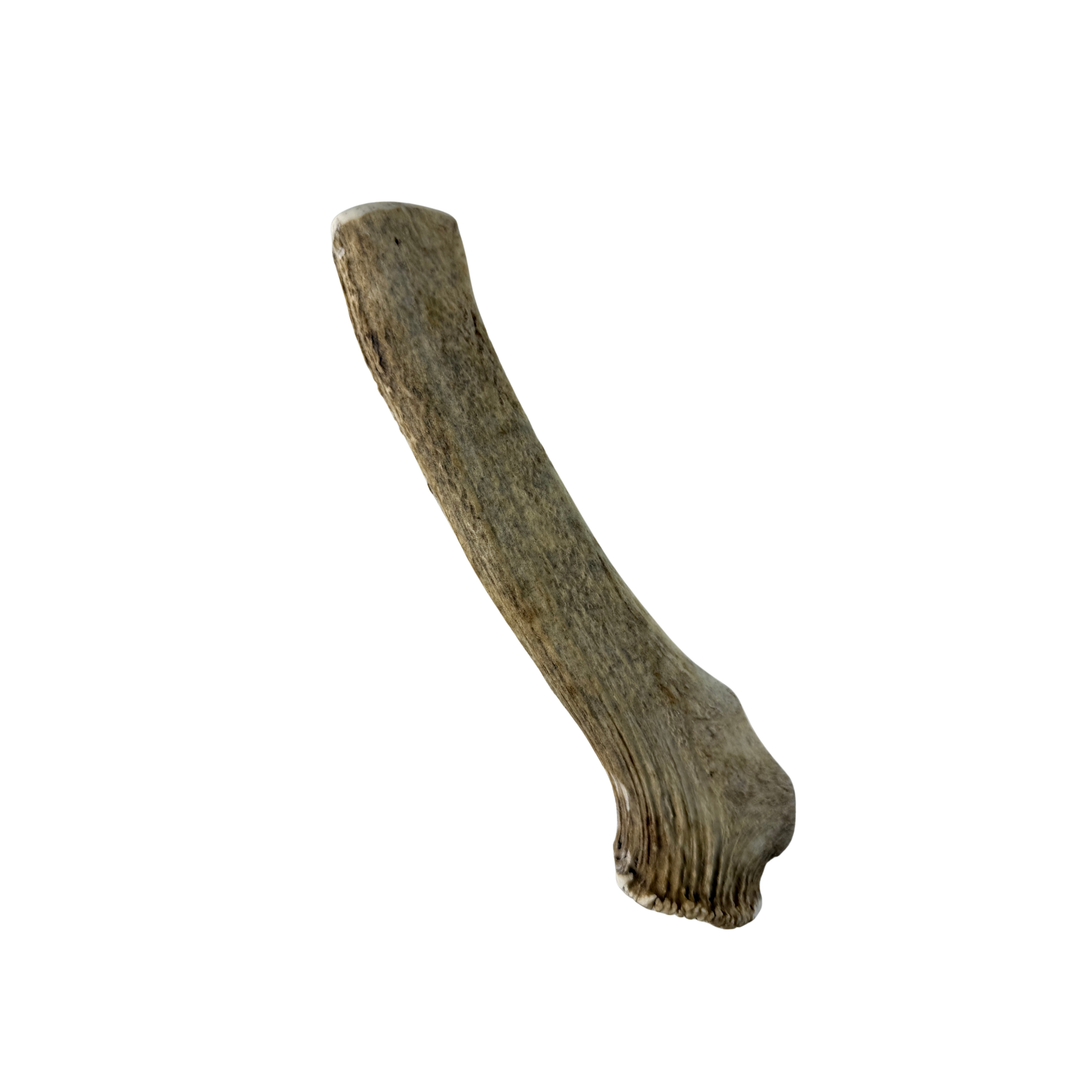 11_7c18e904-7124-4018-a211-6631f956fb3b.png