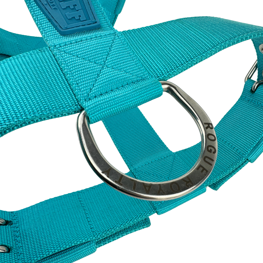 SUPATUFF® Strong Dog Harness Heavy Duty - Turquoise