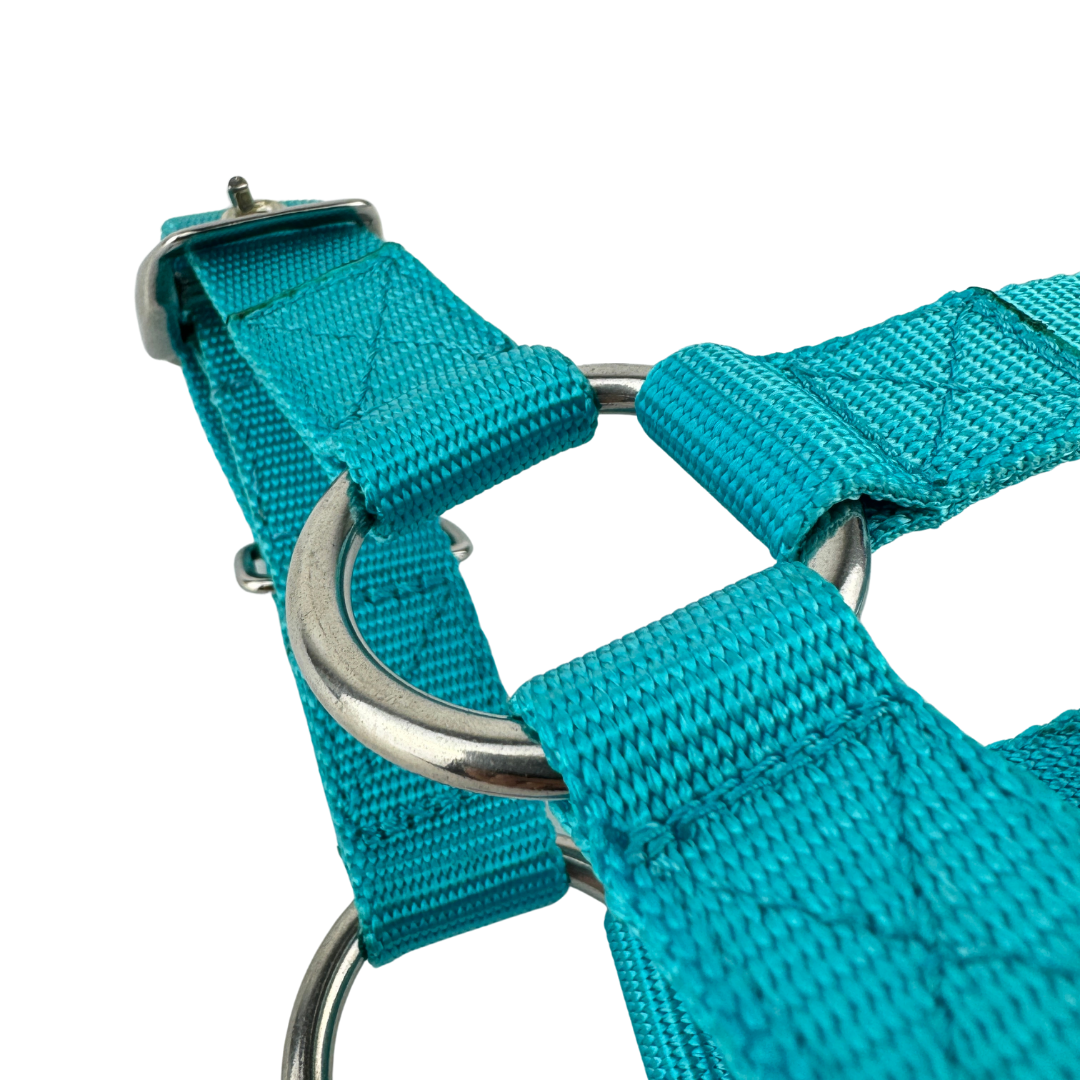 SUPATUFF® Strong Dog Harness Heavy Duty - Turquoise