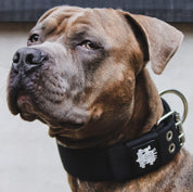 SUPATUFF® Strong Dog Collar Black (Wide Fit)