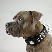 SUPATUFF® Strong Dog Collar Black (Wide Fit)