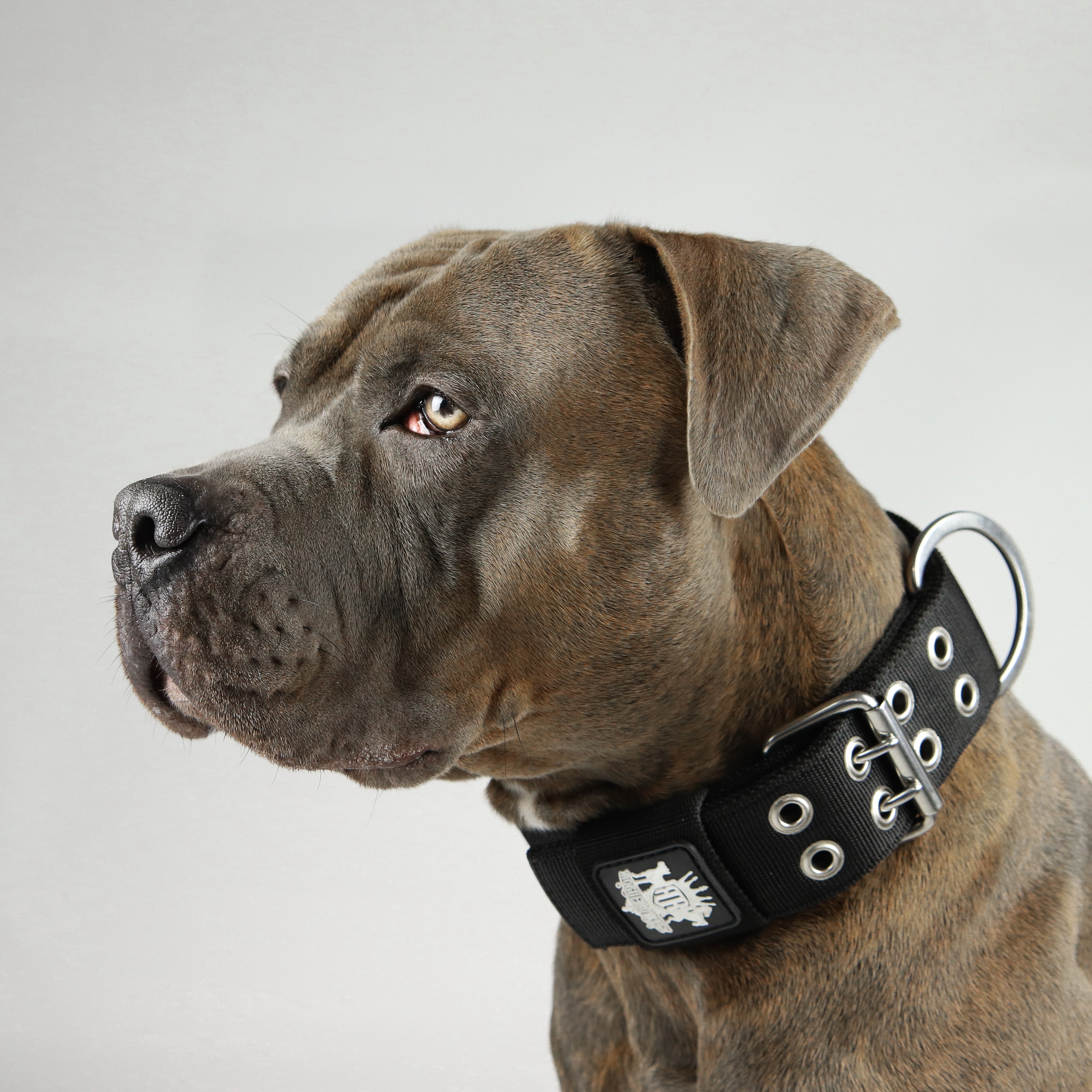 SUPATUFF® Strong Dog Collar Black (Wide Fit)