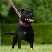 Hand Made Leather Dog Collar - Ruthless Pink & Black (Wide Fit)